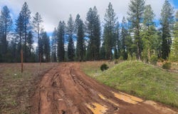 Waterleaf Lane, Shingletown, CA 96088
