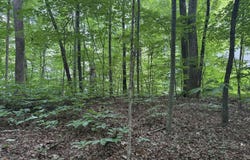 324 Dudala Point, Loudon, TN 37774