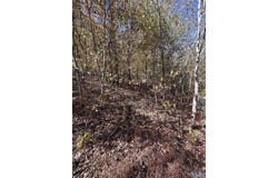 4622 Legacy Preserve Way SE, Brownsboro, AL 35741