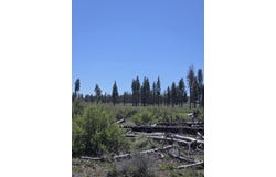 Mountain Quail Lane lot: 9, Chiloquin, OR 97624