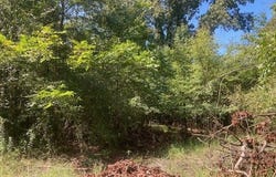 1331 S Jefferson Street, Milledgeville, GA 31061