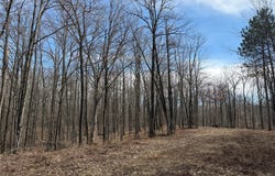 290th Avenue, New Auburn, WI 54757