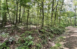 Red River Road, Fox, AR 72051
