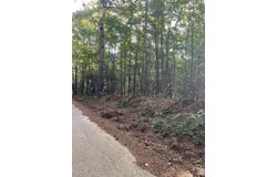 CR 2151 (TRACK 2), Troup, TX 75789