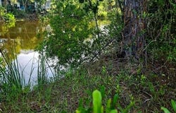 State Rd 349, Suwannee, FL 32692
