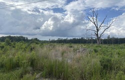 Pine Bluff, AR 71603