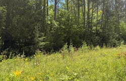 1-28 Pine Tree, Nancy, KY 42544