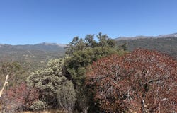 0001 Hogback, Badger, CA 93603