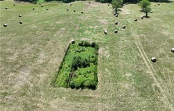 15593 Red Barn RD, Cameron, OK 74932