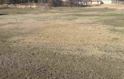 4949 Hwy 70 W, Daisy, AR 71959