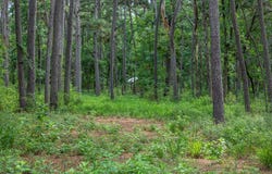 5772 PR 2065, Centerville, TX 75833