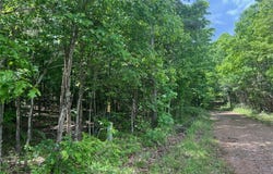 NC 6277 lot: 0, Jasper, AR 72641