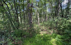 Belair Road, Glen Spey, NY 12737