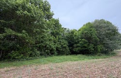 W-side N SR 135, Vallonia, IN 47281