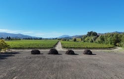 Zinfandel Lane, St. Helena, CA 94574