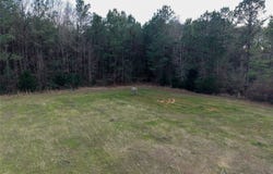 County Road 328, De Berry, TX 75639