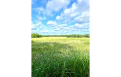 12295 S Bee Emet Rd, Milburn, OK 73450