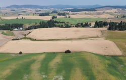 37+/- AC TBD Boller Rd., Potlatch, ID 83855