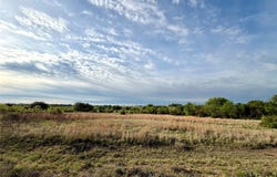 Augustus Lane, Dublin, TX 76446