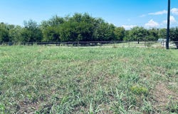 236 County Road 1450, Point, TX 75472