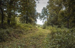 Cook Rd, Maysville, MO 64469