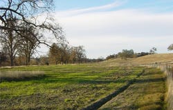 6675 Webster Road, Creston, CA 93432