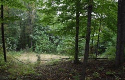 Raintree Rd, Roanoke, VA 24018