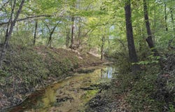Leon Tower Rd, Dozier, AL 36028