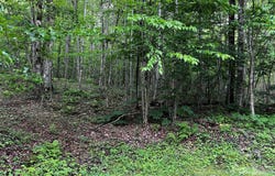 1 Pearl Way, Mars Hill, NC 28754
