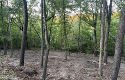 190 Deer Dr, Ridgedale, MO 65739