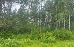 Degerstrom Road, Askov, MN 55704