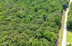 BOYDSVILLE RD, DRESDEN, TN 38225