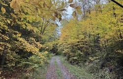 Turcotte Road, Wolcott, VT 05680