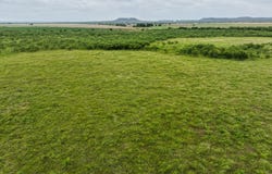 170 Badger Den, Tuscola, TX 79562