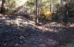 TCZ McAdams Ck Rd, Fort Jones, CA 96032