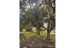9732 Fm 621, Staples, TX 78670