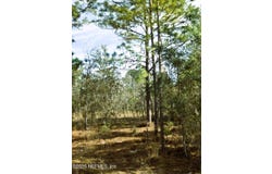 NE 3RD Place, Williston, FL 32696