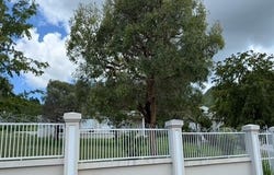 San Idelfonso, Coamo, PR 00769