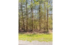 411 RIVERGLADE DR, SHADY SPRING, WV 25918