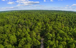 Sycamore lot: 126 & 127, Brookeland, TX 75931