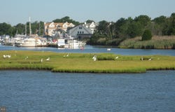 1107 LEILANI Drive, FORKED RIVER, NJ 08731