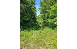 579 Maple Ridge Road, Harrison, ME 04040