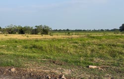 ELM BRANCH lot: 7, Elm Mott, TX 76640