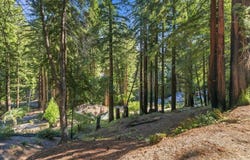 0 Stewart ST, BOULDER CREEK, CA 95006