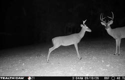 1190 Us Highway 160, Reeds Spring, MO 65737