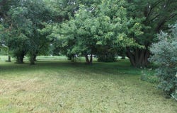 1151 G Avenue, Ogden, IA 50212