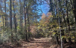 7400 Marye Rd, Spotsylvania Courthouse, VA 22551