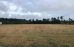 Strickland Rd., Green Sea, SC 29545