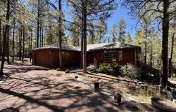 3 County Road 2089, Alpine, AZ 85920