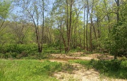 Timber Circle, Tunas, MO 65764